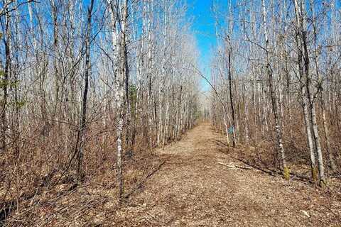606 Burrows Lake Road, Tomahawk, WI 54487