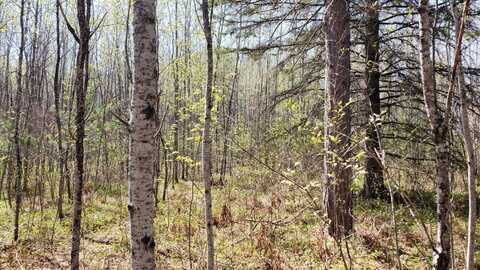 606 Burrows Lake Road, Tomahawk, WI 54487