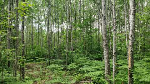 606 Burrows Lake Road, Tomahawk, WI 54487