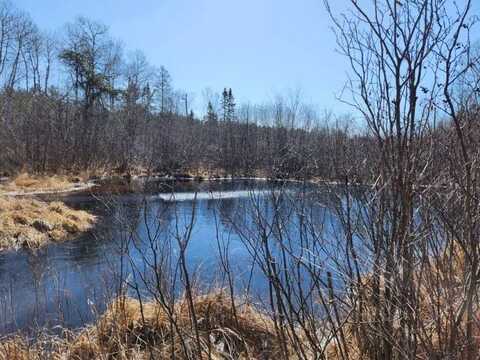 1212 Brown Creek Road, Tomahawk, WI 54487