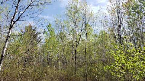 808 Burrows Lake Road, Tomahawk, WI 54487