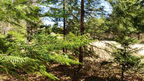 707 South Lake Road, Phillips, WI 54555