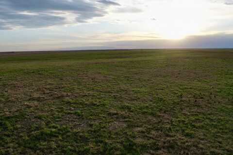 TBD Road 16, Sharon Springs, KS 67758