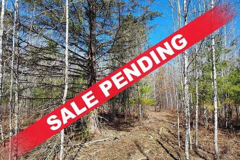 202 Burrows Lake Road, Tomahawk, WI 54487