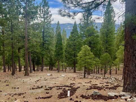 2999 Kristen Way, Clio, CA 96106