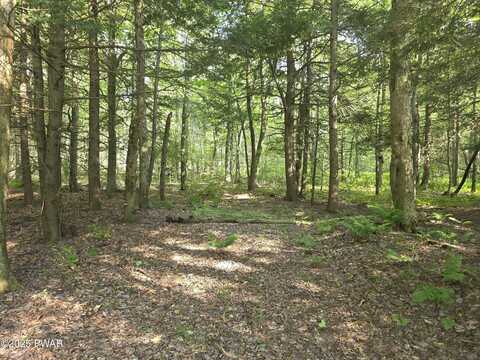 Lot #2 PA- 370, Poyntelle, PA 18454