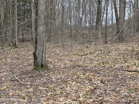 Lot #2 PA- 370, Poyntelle, PA 18454