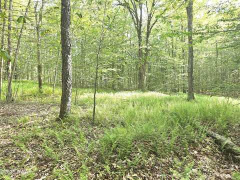 Lot #1 PA-370, Poyntelle, PA 18454