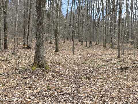 Lot #1 PA-370, Poyntelle, PA 18454