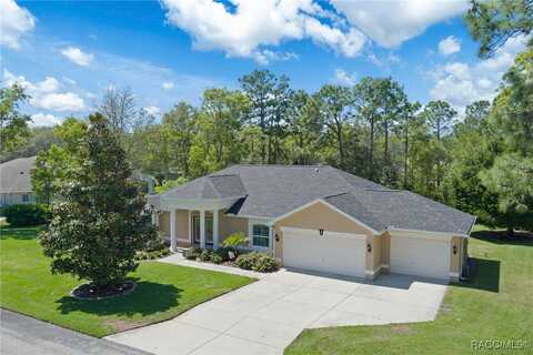3 Stokesia Court N, Homosassa, FL 34446