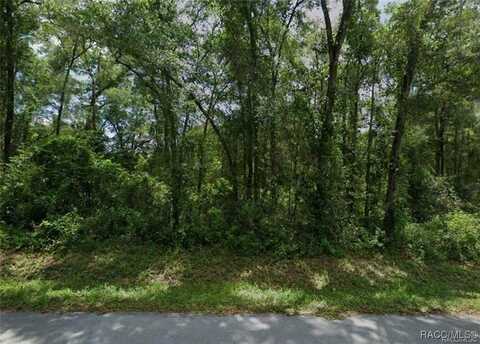 Lots 89 90 91 & 92 N Rooks Avenue, Inverness, FL 34453