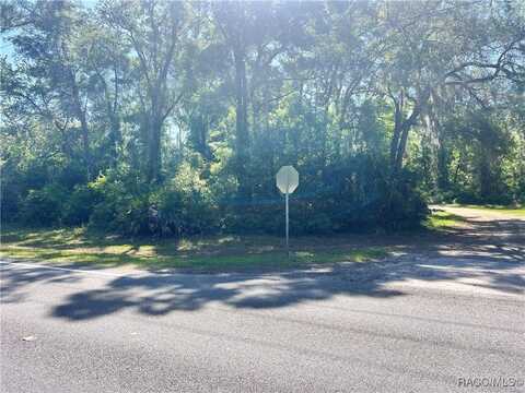9781 W Pomelo Lane, Crystal River, FL 34428