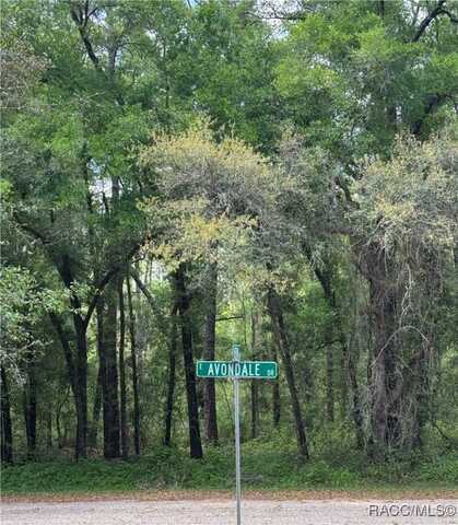 433 E Avondale Drive, Dunnellon, FL 34434