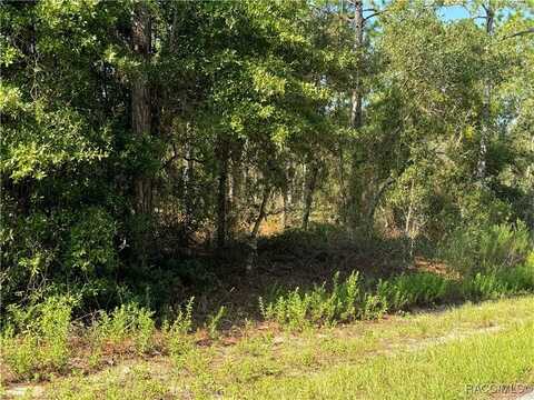 undefined, Dunnellon, FL 34431