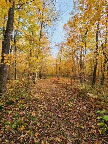 300th Avenue County Road W, Frederic, WI 54837