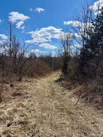 00 County Line Road, Ortonville, MI 48462