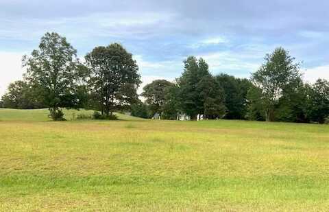 10 N Lake Circle, Manning, SC 29102