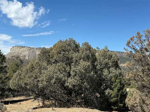 Tbd Juniper Lane, Los Ojos, NM 87551