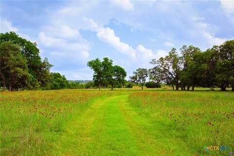 1364 N Walnut Springs Road, Johnson City, TX 78636