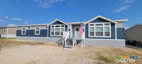 141 Viridian View, Pleasanton, TX 78064