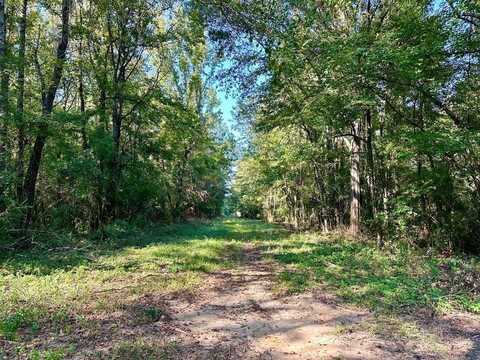 TBD Williams St, Brookhaven, MS 39601
