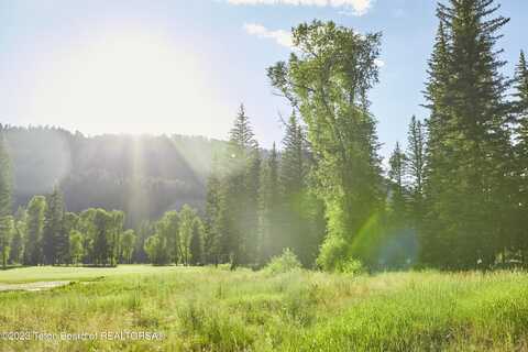 15635 S WAGON Road, Jackson, WY 83001