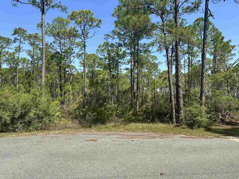 Cessna Lane, Panacea, FL 32346