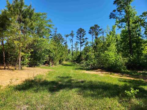 19265 SE Wrennie Moody, Blountstown, FL 32424
