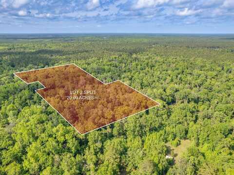 20 Ac OLD TOWN HAMMOCK Lane, Crawfordville, FL 32327