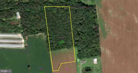 RESIDUAL LOT SEASHORE HIGHWAY, BRIDGEVILLE, DE 19933