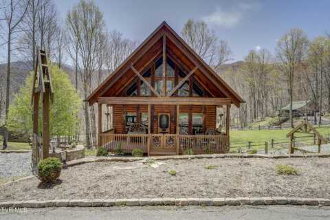 223 Black Bear Ridge, Roan Mountain, TN 37687