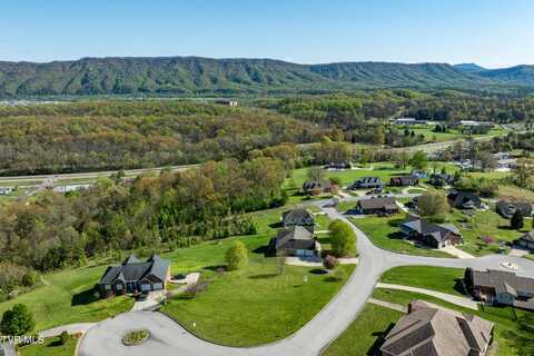 307 Carrie Circle, Mount Carmel, TN 37645