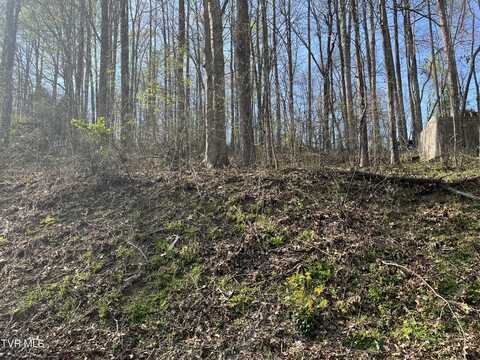 Wedgewood Road, Big Stone Gap, VA 24219
