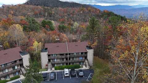 1081 Cove Road, Sevierville, TN 37876