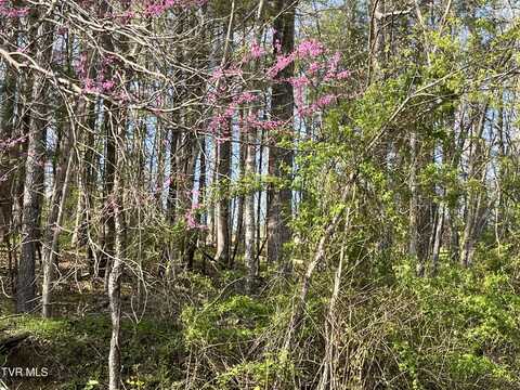 2 Lots Powell Valley Road, Big Stone Gap, VA 24219