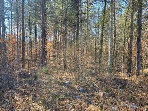 1A Junaluska Drive, Jamestown, TN 38556