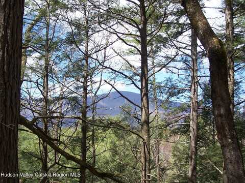 Lot 3 White Pine Lane, Saugerties, NY 12477