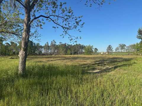 10.089 Indian Camp Rd, Nashville, GA 31639