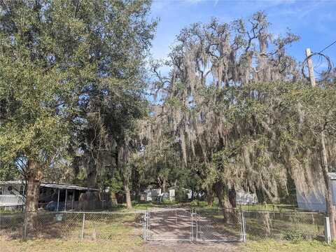 Peony, NEW PORT RICHEY, FL 34654