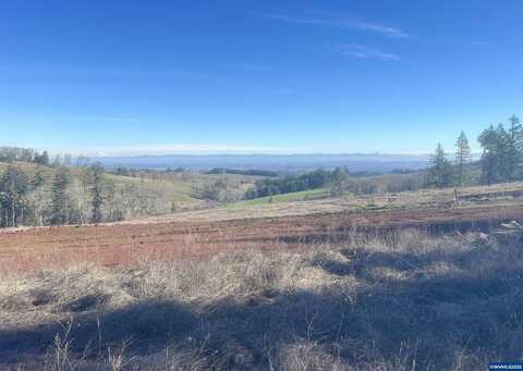 Firas Estates (Lot 1A), Salem, OR 97304