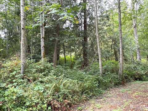 Ne Winston Drive #D, Bremerton, WA 98311