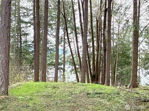 Se Suncrest Court #4, Yelm, WA 98597