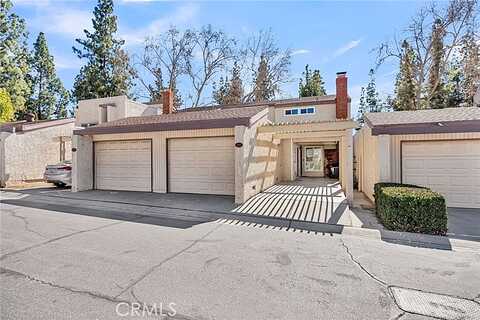 Daffodil, RIVERSIDE, CA 92507