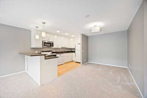 Cedar Lake, HOPKINS, MN 55305