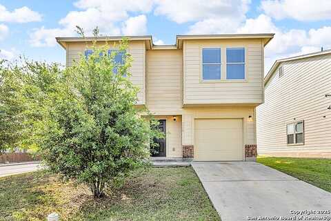 Arabian, SAN ANTONIO, TX 78244
