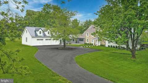 Apple Tree, BETHLEHEM, PA 18015