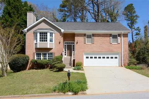 Palm Tree, LITHONIA, GA 30038