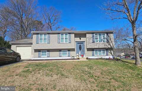 Great Lake, SPRINGFIELD, VA 22153