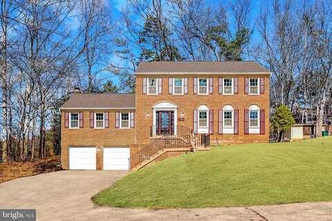 Antiopi, ANNANDALE, VA 22003