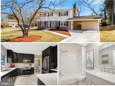 Bowie, SPRINGFIELD, VA 22150